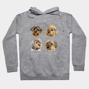 Cute Yorkshire Terrier Yorkie faces Hoodie